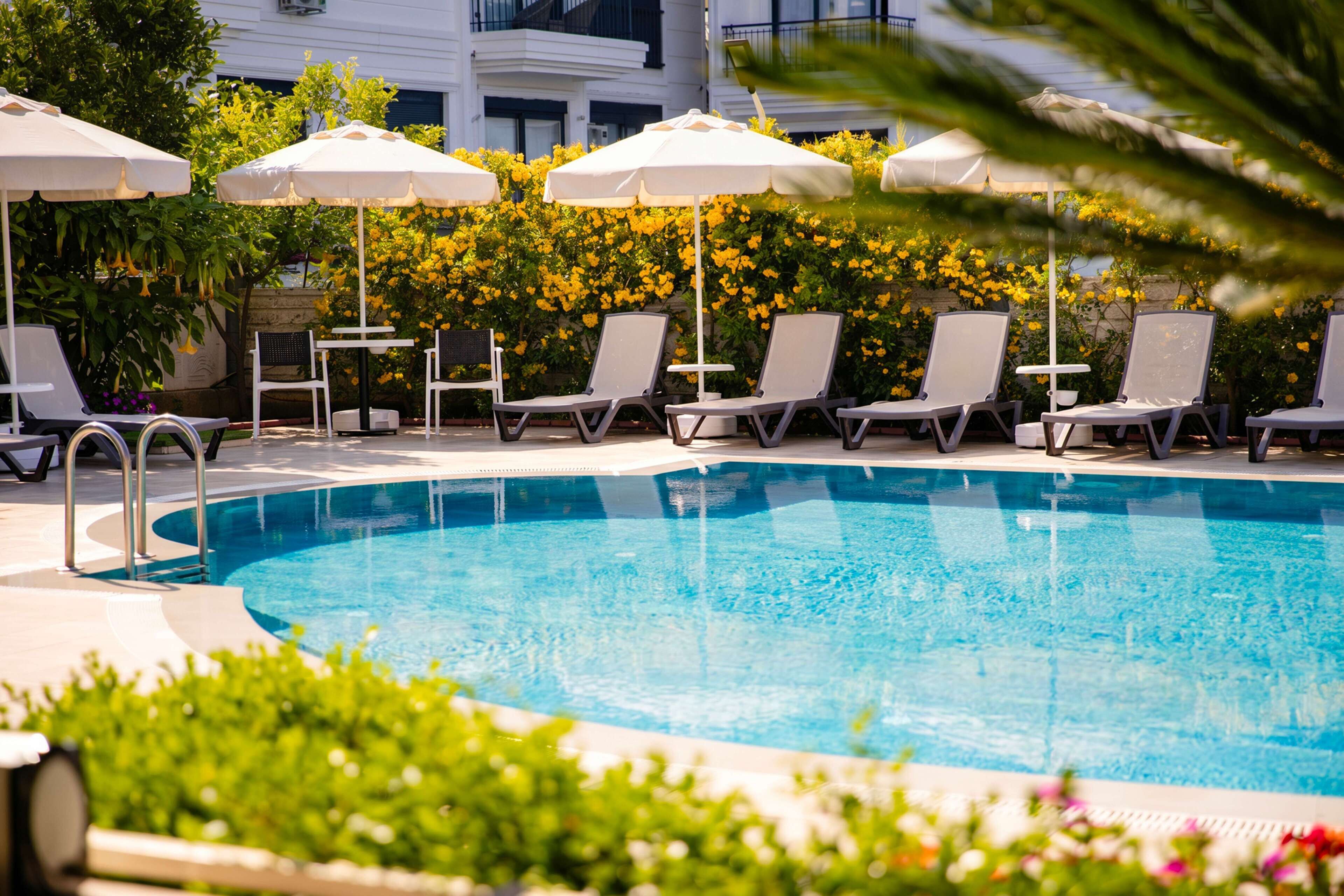 Una piscina con sillas de descanso y sombrillas, rodeada de vegetación y un edificio al fondo.
