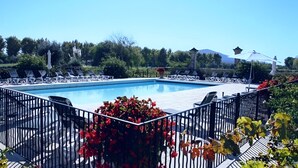 Piscina retangular com cerca de metal preta, rodeada por espreguiçadeiras e um jardim com flores vermelhas.