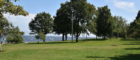 Un espace vert avec des arbres et une vue sur la mer.