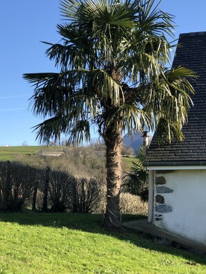 المنطقة المحيطة بالمنشأة