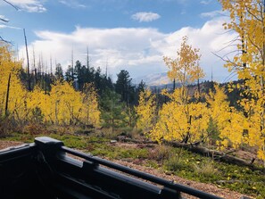 A scenic view of a forest with yellow foliage and a mountain in the background. - Cabin at Sportsman’s Paradise- Anglers’s Dream & Mountain Retreat. (Lake George)