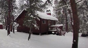A cabin surrounded by snow-covered trees. - Cabin at Sportsman’s Paradise- Anglers’s Dream & Mountain Retreat. (Lake George)