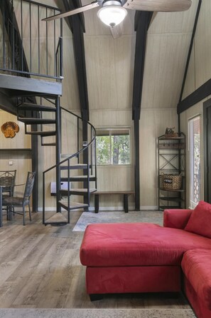 Smart TV, fireplace, video games, DVD player