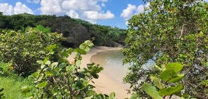 A beach with clear water, surrounded by dense greenery and hills.