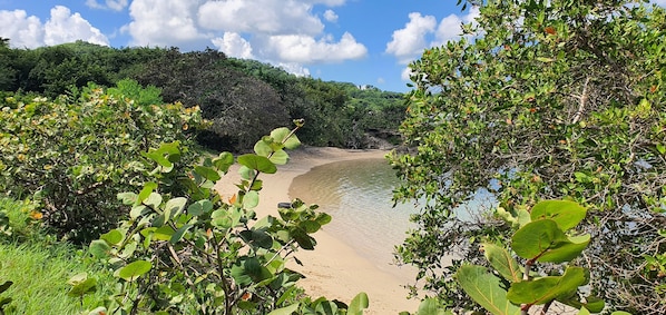 Playa en los alrededores y toallas de playa