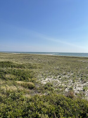 In Strandnähe, Liegestühle