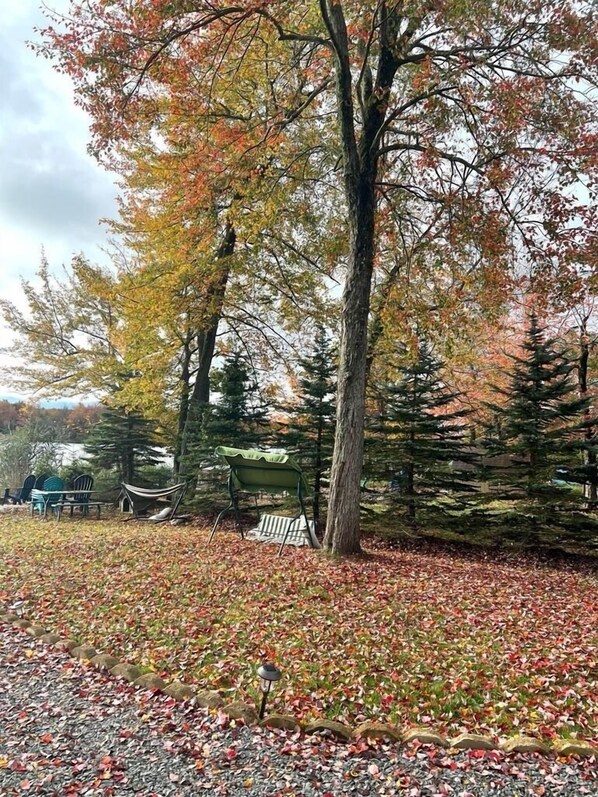 Un parque con una hamaca, un banco y una mesa de picnic rodeado de árboles con hojas otoñales.
