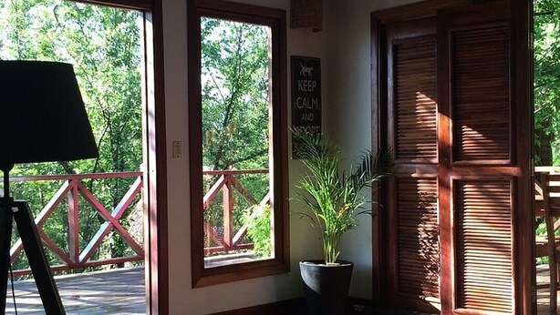 Una habitación con cama, escritorio y una planta en maceta. Amplias ventanas ofrecen vistas a árboles y una barandilla roja en el exterior.
