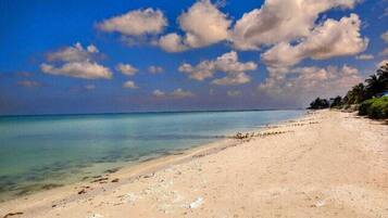 Una spiaggia nelle vicinanze