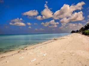 Playa en los alrededores 