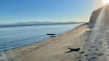 Plage à proximité, chaises longues, serviettes de plage