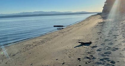 Whidbey Retreat, Peaceful & Private Getaway, Hot Tub, Fire Pit