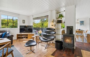 Fernseher, Kamin
