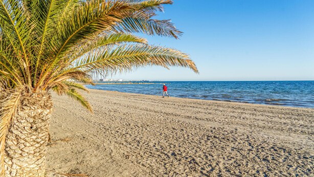 A sandy beach with a palm tree and a person in a red jacket walking towards the water. - Gorgeous apartment in Santa Pola with WiFi (Santa Pola)