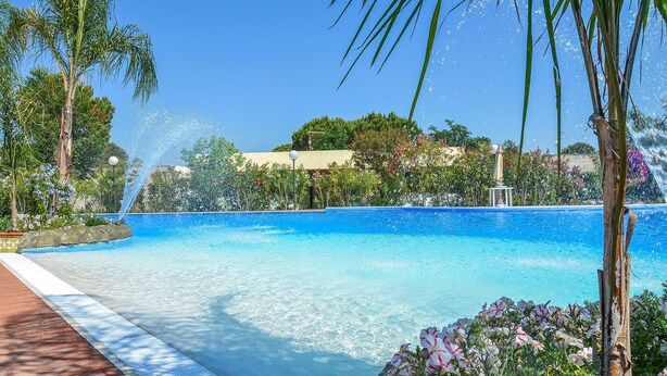 Piscina azul cristalina rodeada de exuberante vegetación y una palmera.