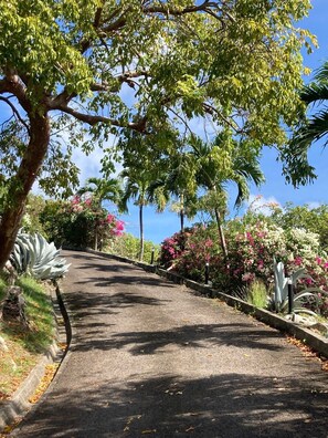 Áreas de la propiedad