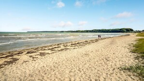 En sandstrand med udsigt til havet og et skovområde i det fjerne.