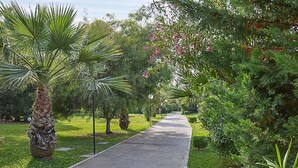 A pathway in a park with palm trees and flowering bushes.