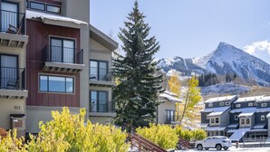 A multi-story building with balconies, a large evergreen tree, and a mountain in the background.