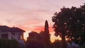 A residential area with a house, a pathway, and trees. - Large & Luxurious Family Home in a Private and Peaceful area  (Rotorua)