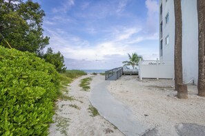 Property grounds - Ocean front with private beach and pool (Marathon)