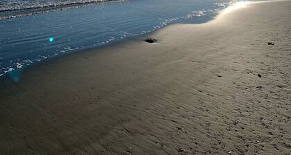 2 bedroom home family and pet friendly 0.5m from beach