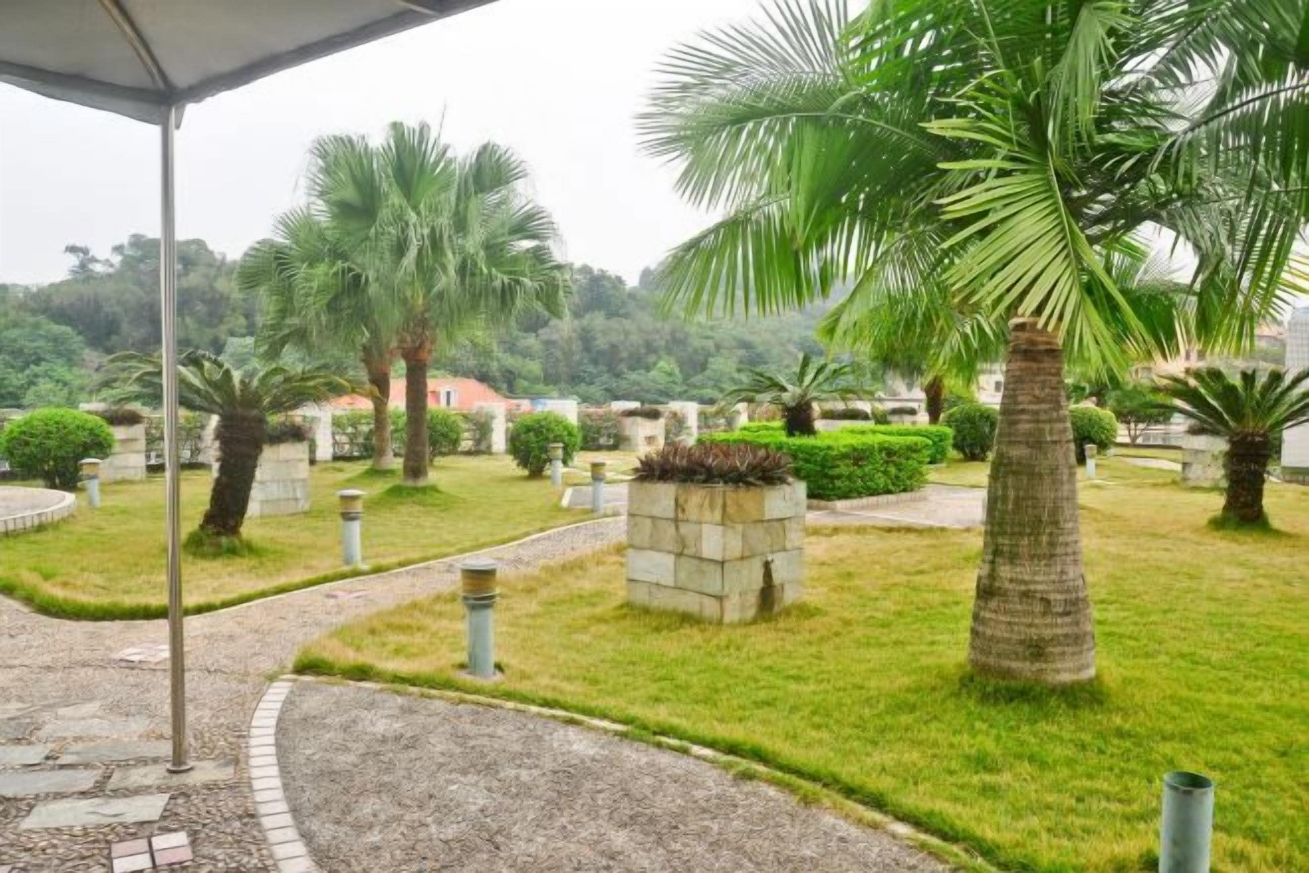 A garden with palm trees, a pathway, and a stone structure.