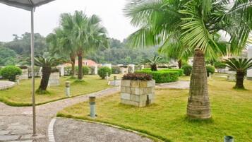 A garden with palm trees, a pathway, and a stone structure.