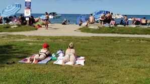 A beach scene with people relaxing on the grass and beach. - Cute family cottage getaway near Lake Simcoe! (Innisfil)