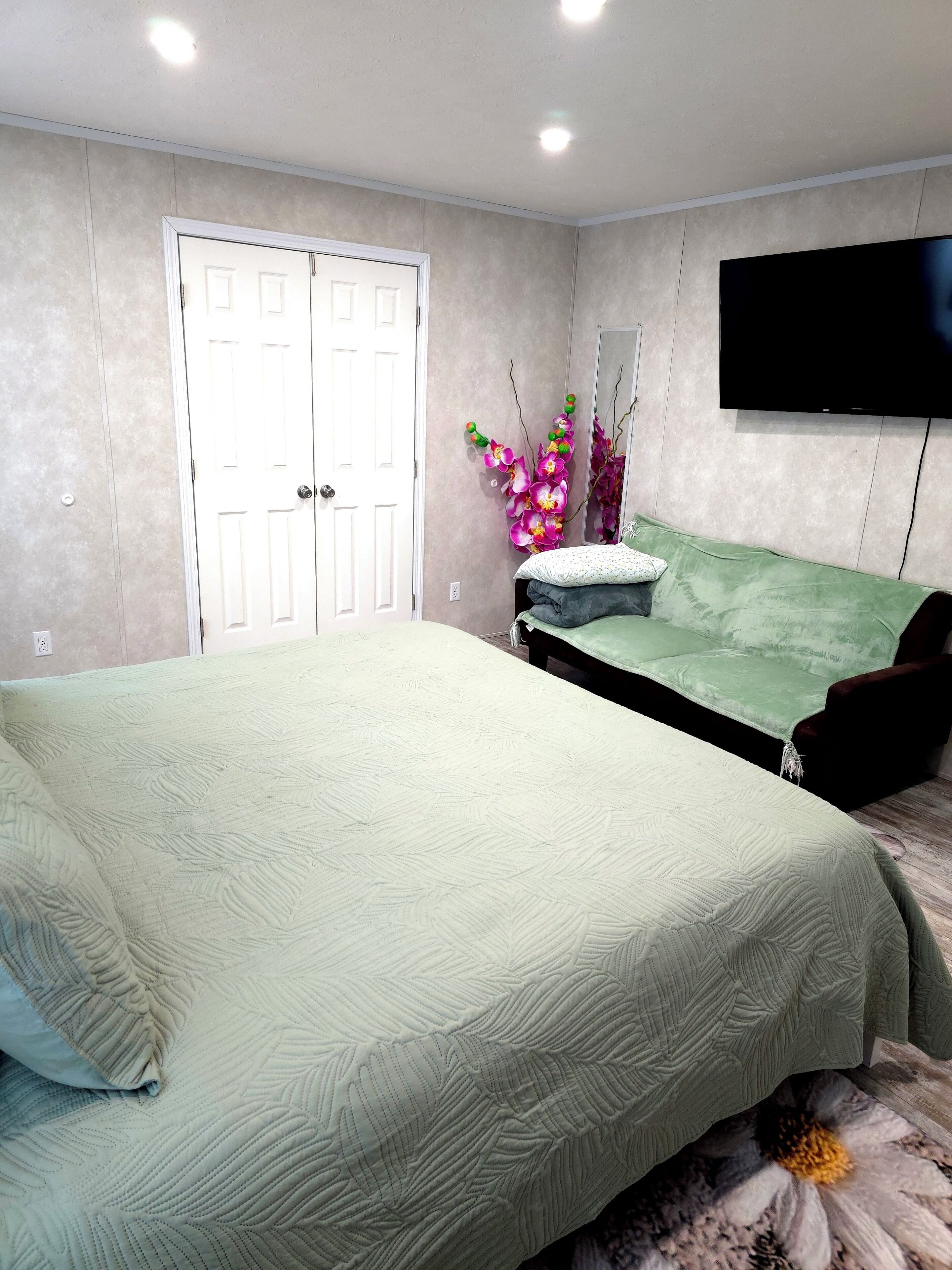 A bedroom with a bed, a green sofa, a TV, and a door.