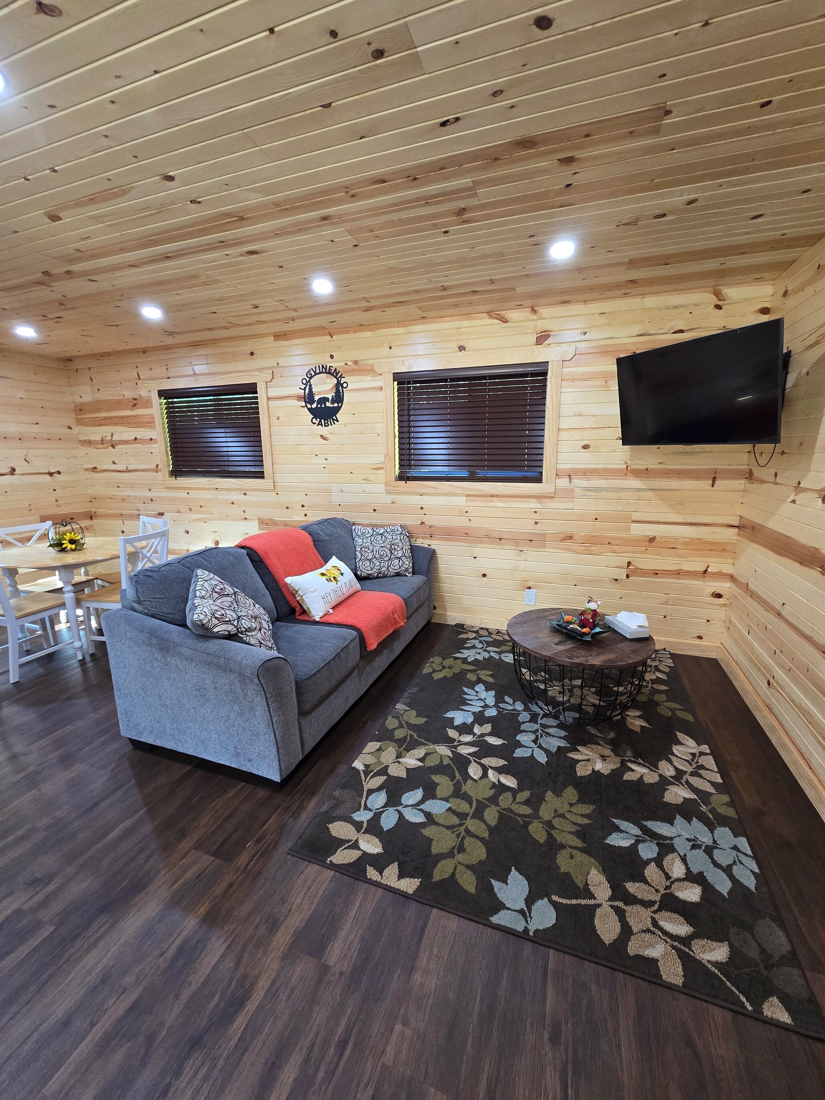 Smart TV, fireplace, video games, DVD player