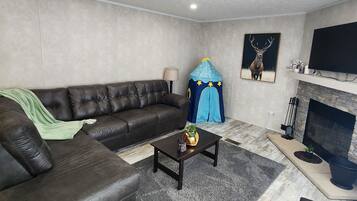 Smart TV, fireplace, video games, DVD player