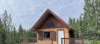 Fireweed Mountain Lodge - Bonzana Cabin