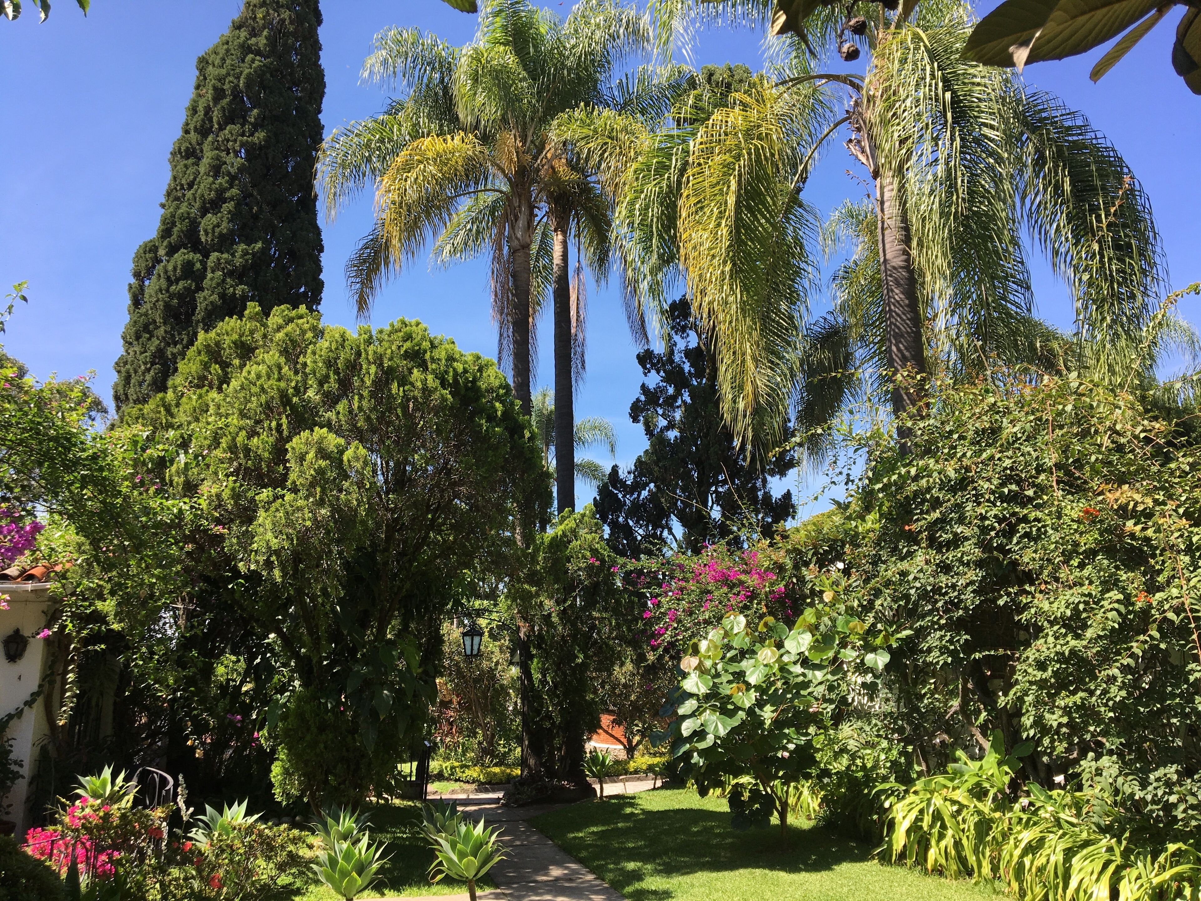 Overnattingsstedets uteområder