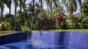 En swimmingpool med blå fliskanter, omgivet af frodig vegetation og palmer.