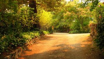 Jardines del alojamiento