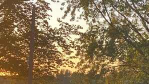 A house with a satellite dish, a lawn, and a view of a lake with a boat. - Enjoy Beautiful Sunsets on Lake Reno (Alexandria)
