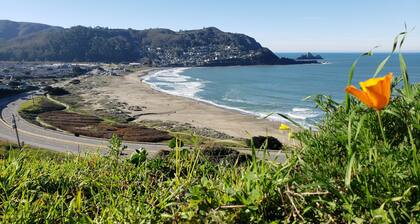 Cozy, modern 1-bedroom guest suite with backyard ocean view!