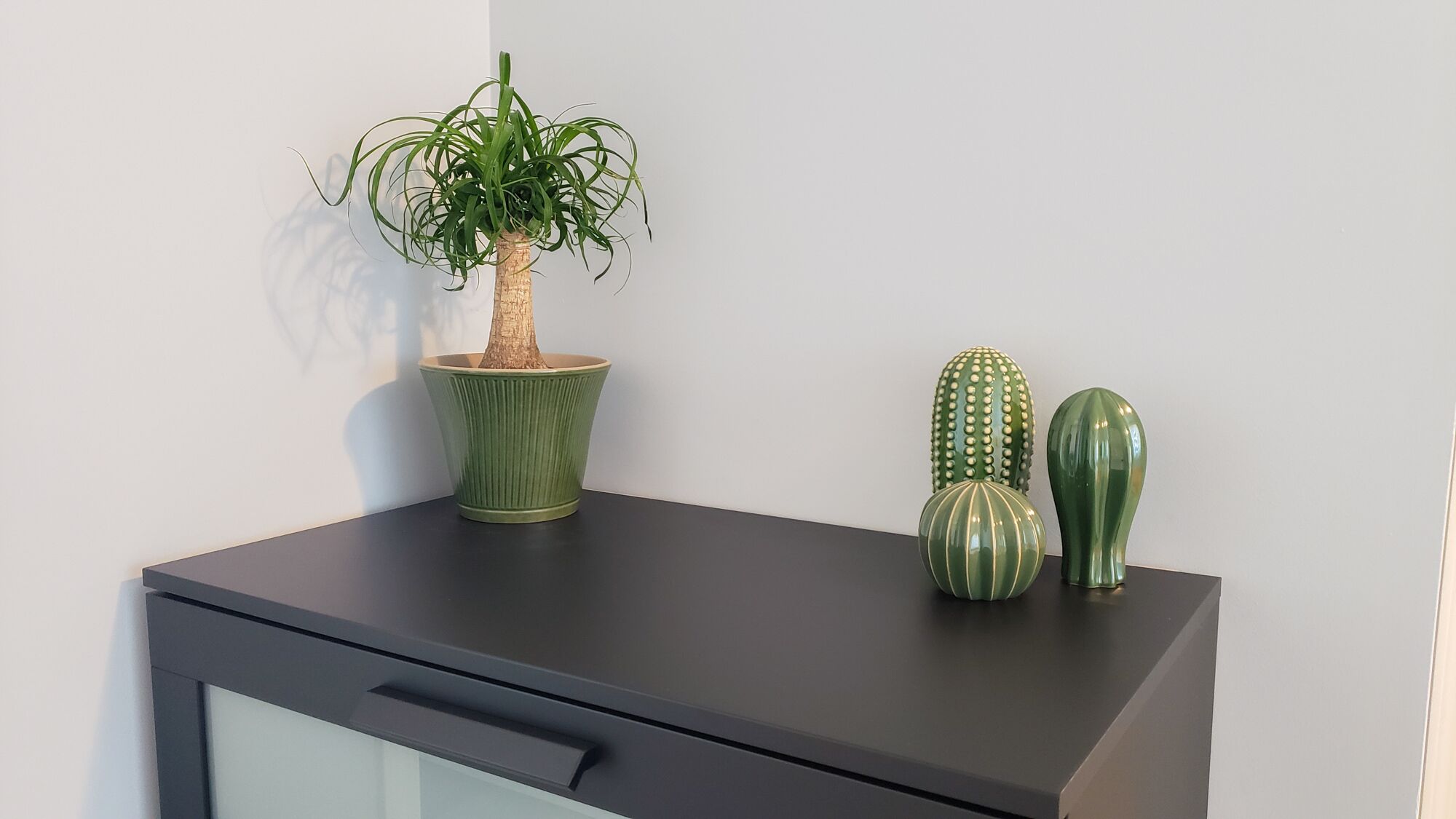 A desk with a potted plant and two decorative cacti.
