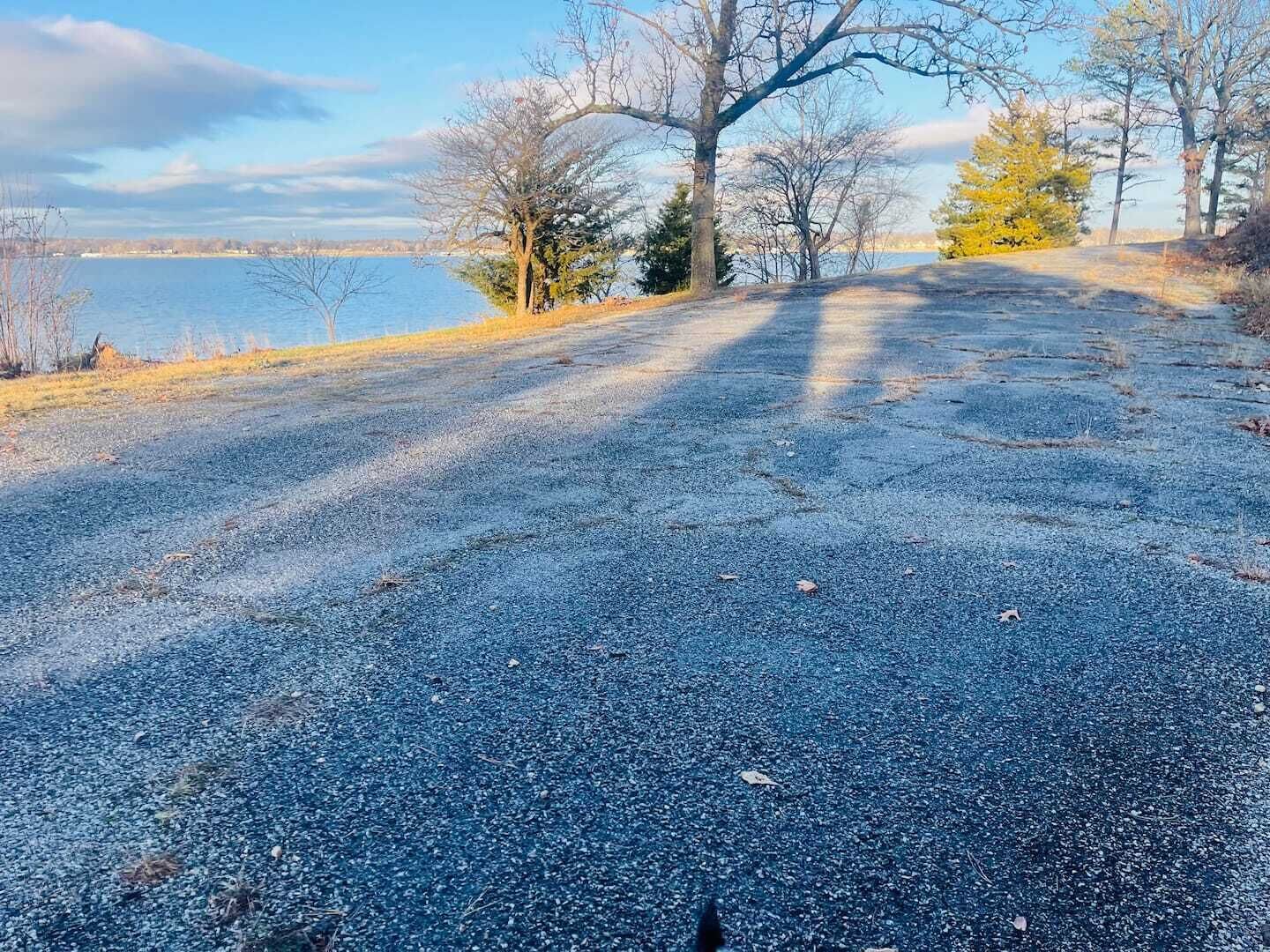 Ein Schotterweg führt zu einem Gewässer, gesäumt von Bäumen.