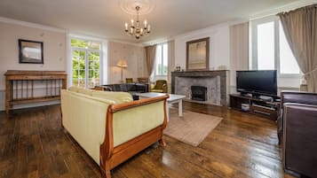 Télévision à écran plat, cheminée, lecteur de DVD