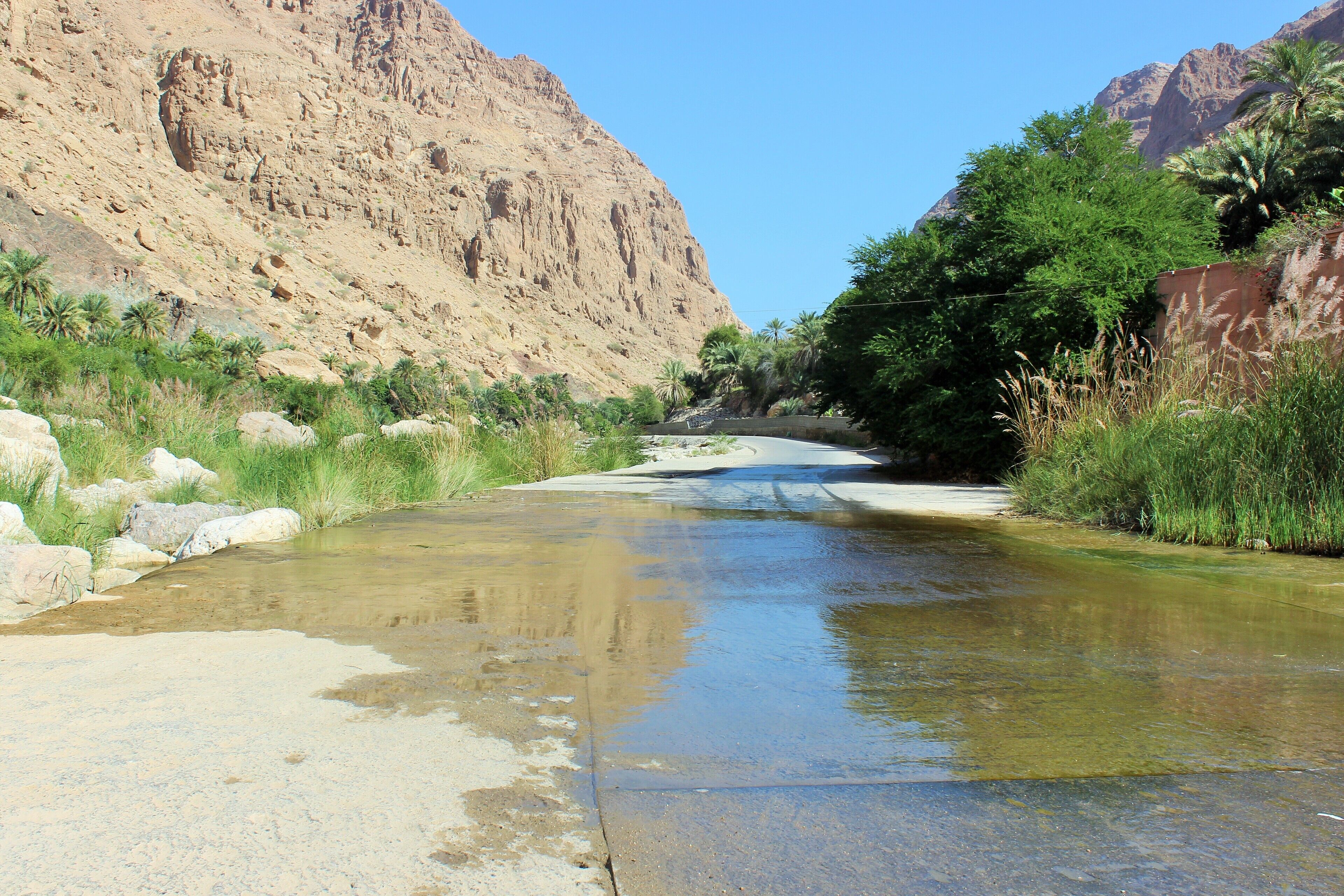 A dry riverbed with sparse vegetation and a rocky mountain in the background.