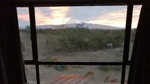 Una habitación con un amplio ventanal que ofrece vistas a un paisaje de sabana con fauna, incluyendo cebras y jirafas, y una montaña en la lejanía.