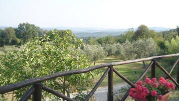 Villa, 1 Bedroom, Smoking, Patio | Balcony