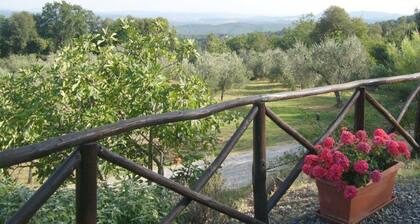 Splendid Relaxing Stay in the Tuscan Countryside