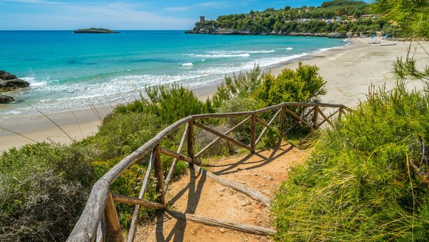 A beach with a wooden staircase leading down to the shore, surrounded by greenery and overlooking the sea. - Ecolodge Selvitelle - Sustainable Retreat Amidst Olive Groves in Cilento (Cicerale)