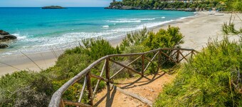 Ecolodge Selvitelle - Sustainable Retreat Amidst Olive Groves in Cilento