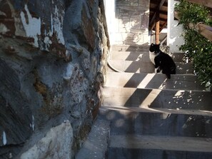 Unterkunftsgelände