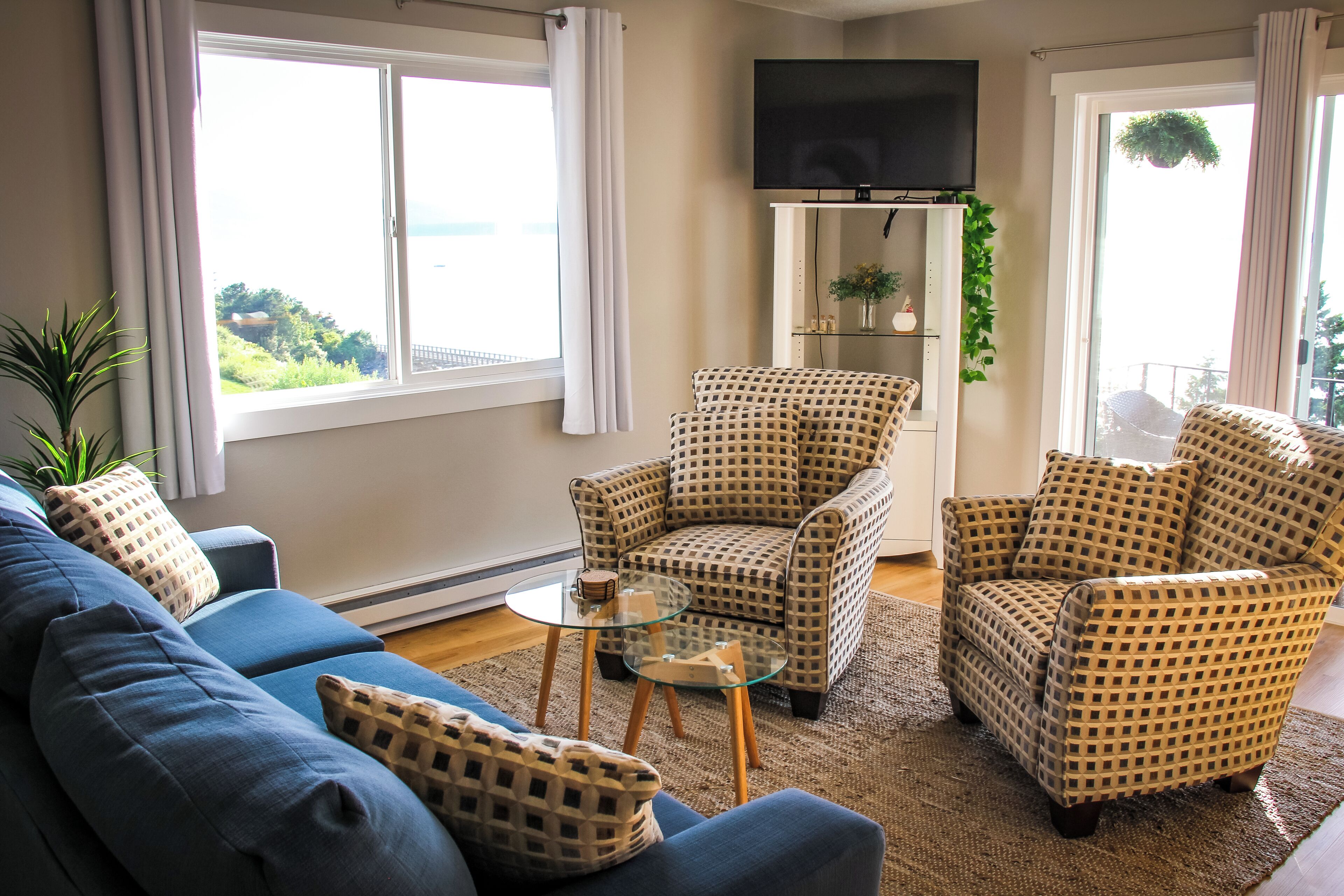 Smart TV, books, computer monitors