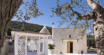 Hillside villa with pool for 5 guests in Monopoli